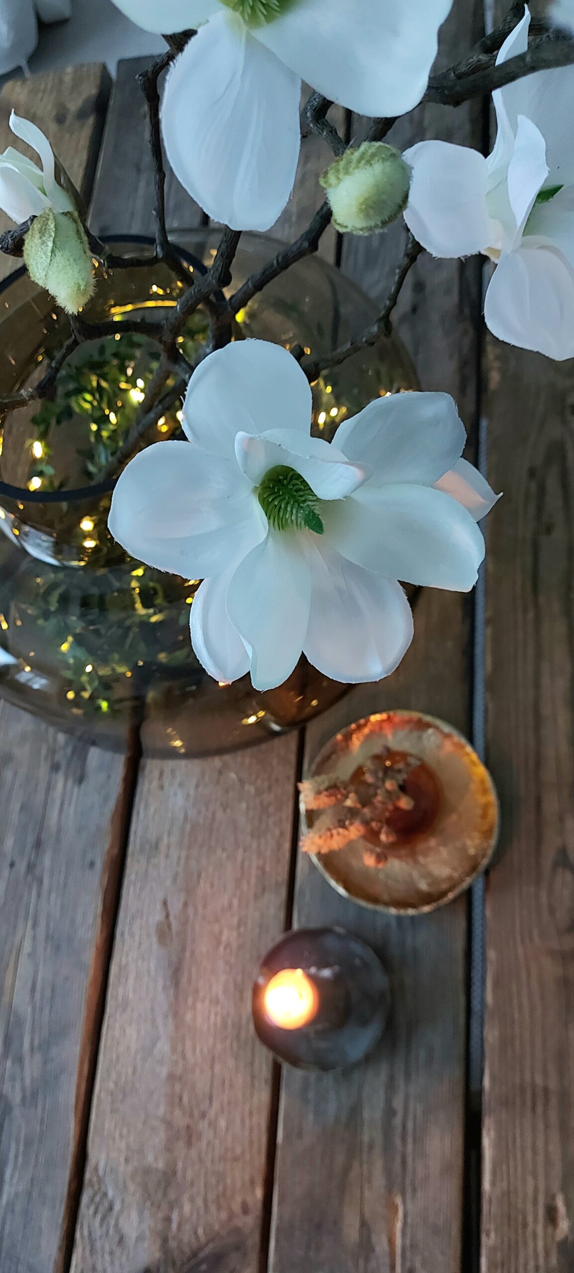 Magnolia koristeoksat 