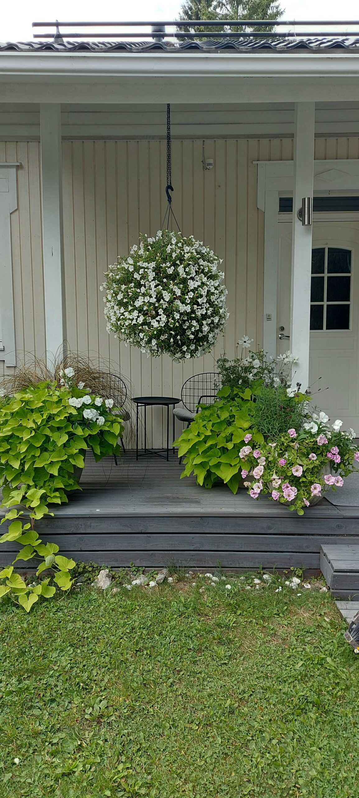 kesäkukat kauneimmillaan 