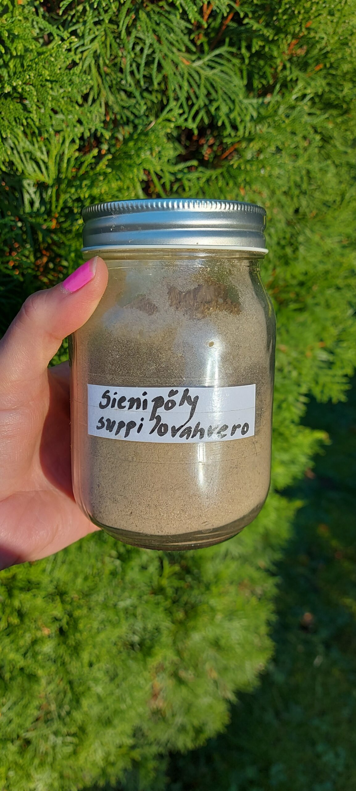 sienipöly suppilovahvero 